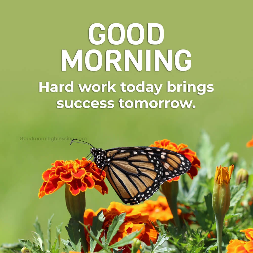 Morning Motivation Quotes For Success