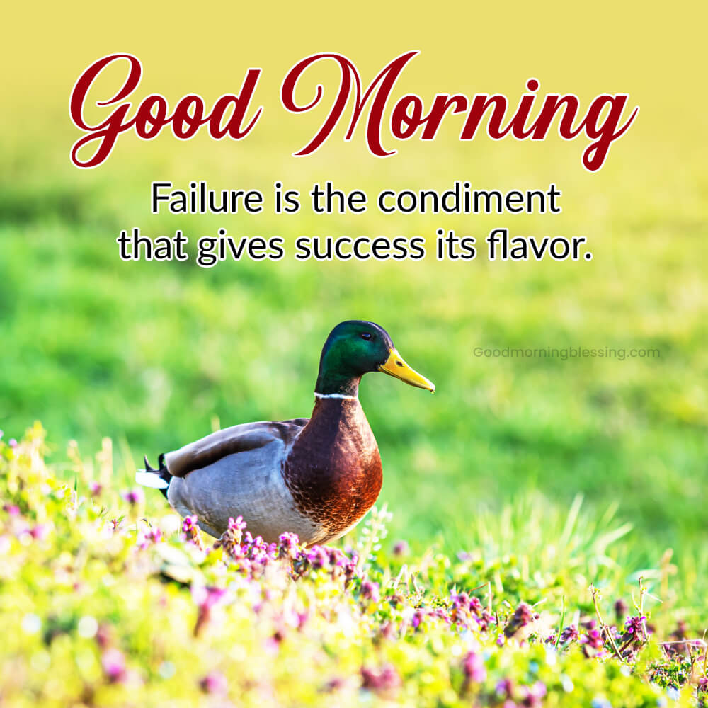 Motivational Morning Quotes For Success