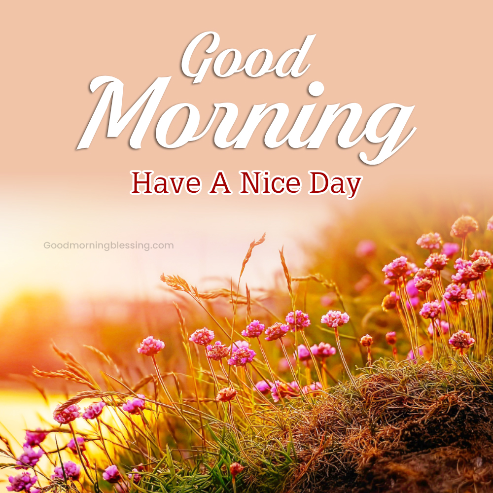 Nature Inspired Morning Quotes