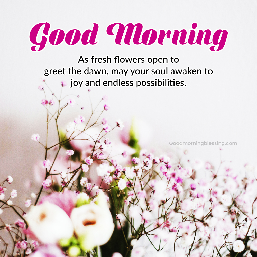 New Good Morning Flowers