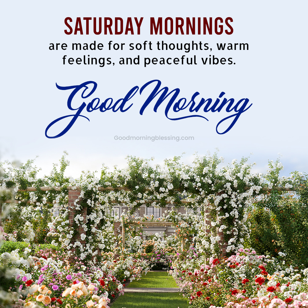 Positive Good Morning Blessings