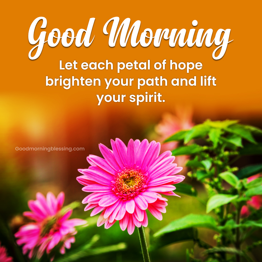 Positive Morning Messages Flower Photo