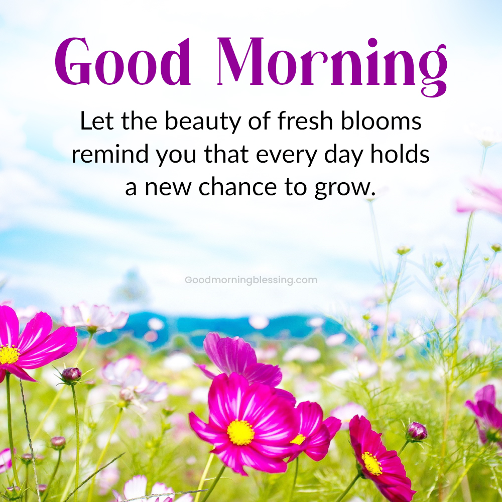 Positive Morning Thoughts With Flowers