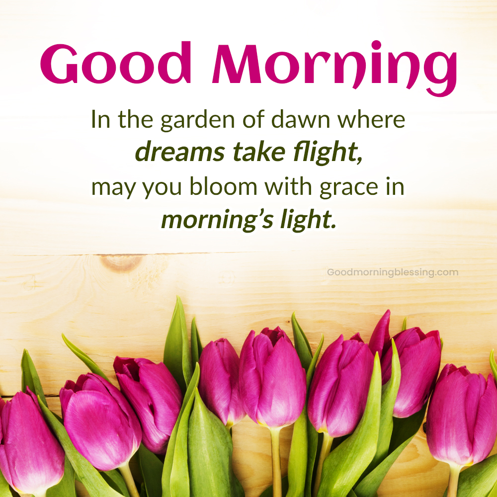 Romantic Good Morning