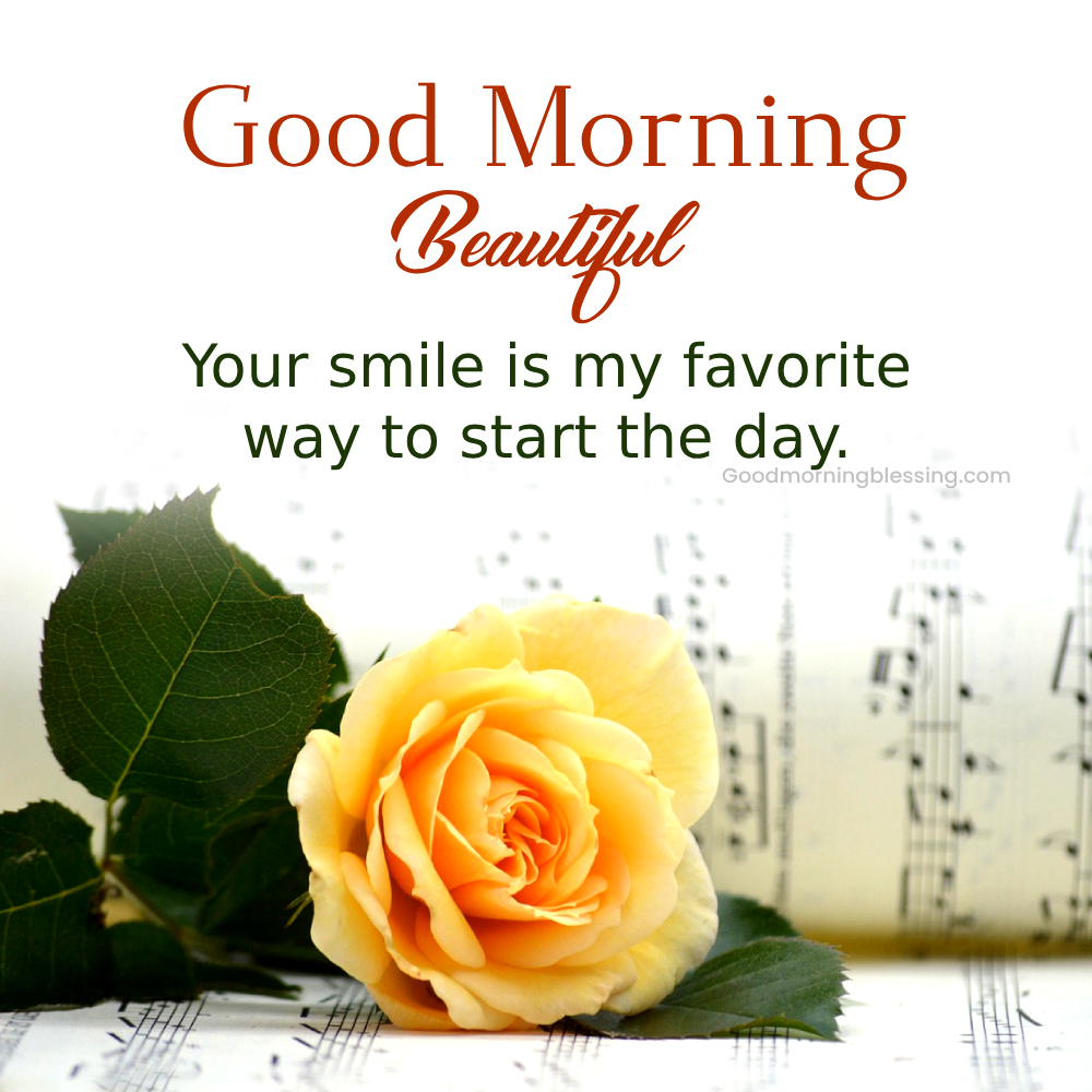Romantic Good Morning Rose Flower I Goodmorningblessing