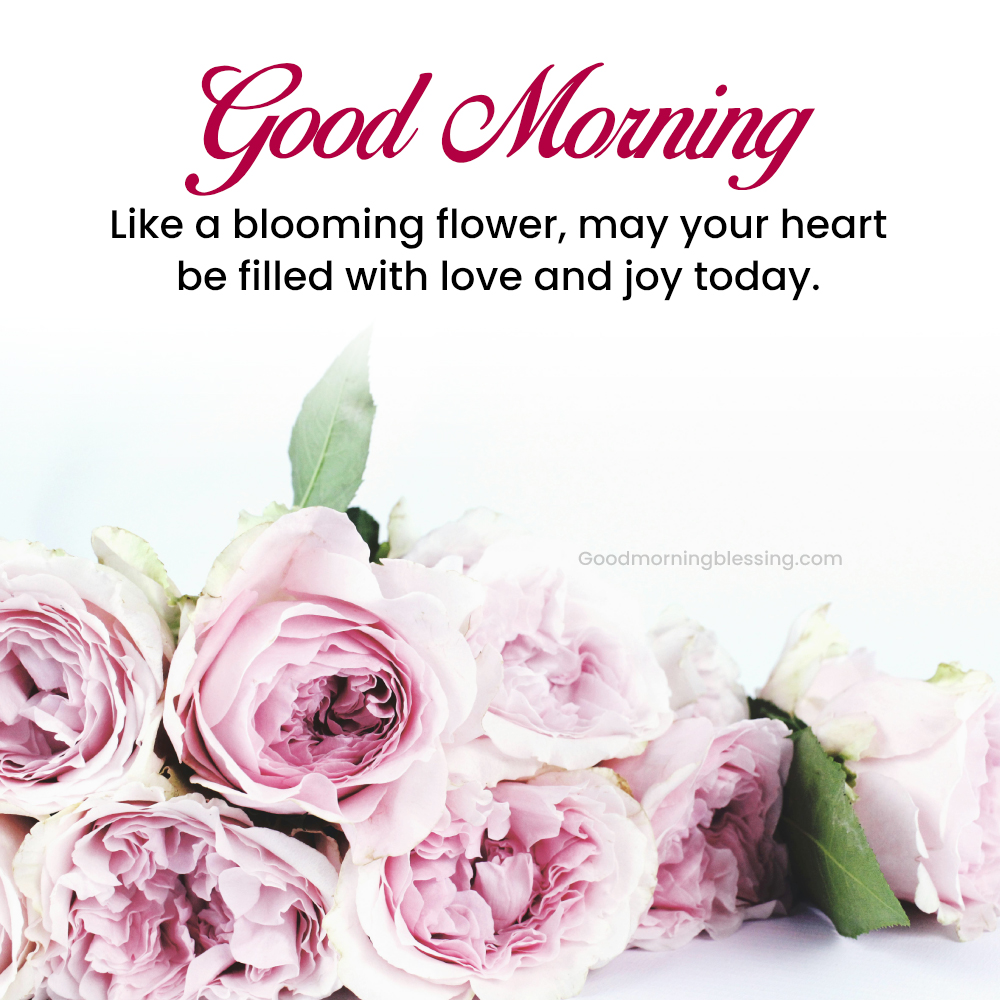 Romantic Good Morning Wishes
