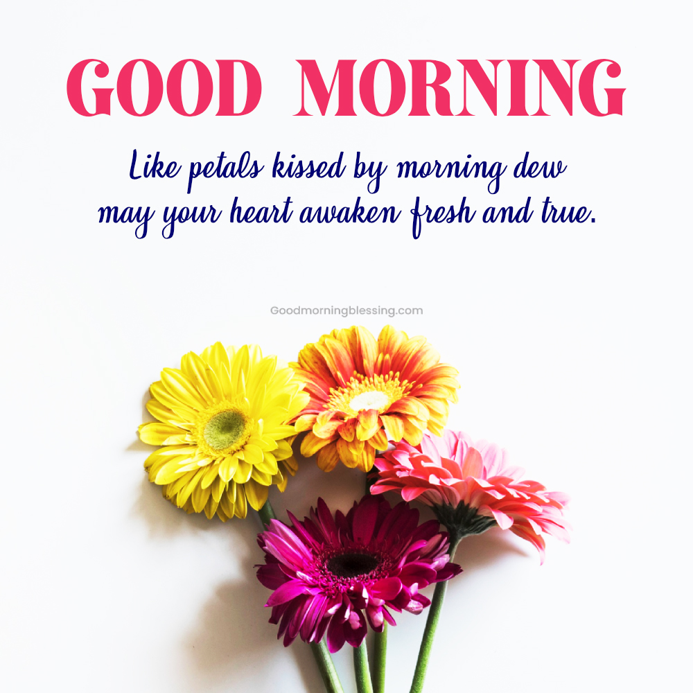 Romantic Poetic Flower Morning Wishes