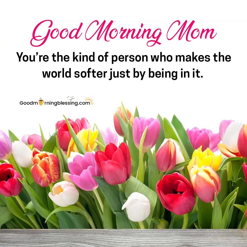 Rose Good Morning Mom