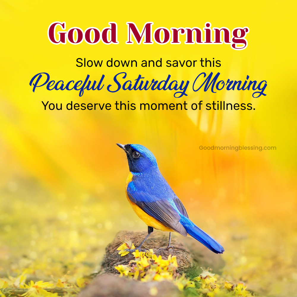 Saturday Morning Blessings