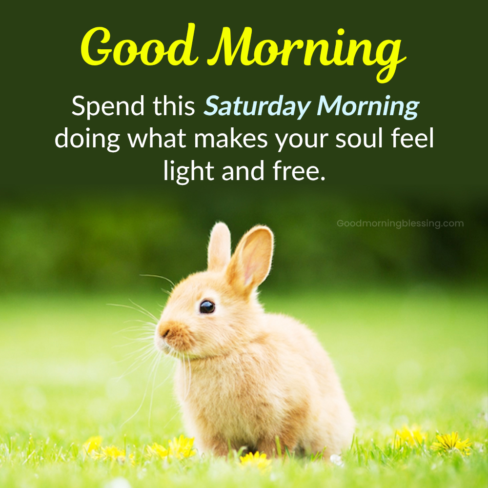 Saturday Morning Greetings
