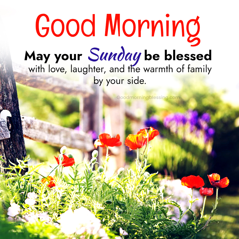 Short Sunday Weekend Quotes I Goodmorningblessing