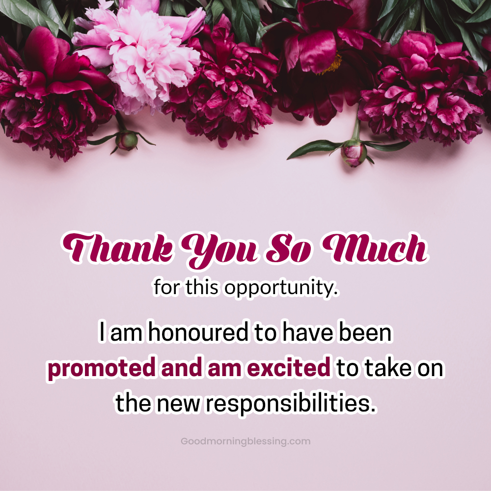 Short Thank You Message For Promotion Wishes