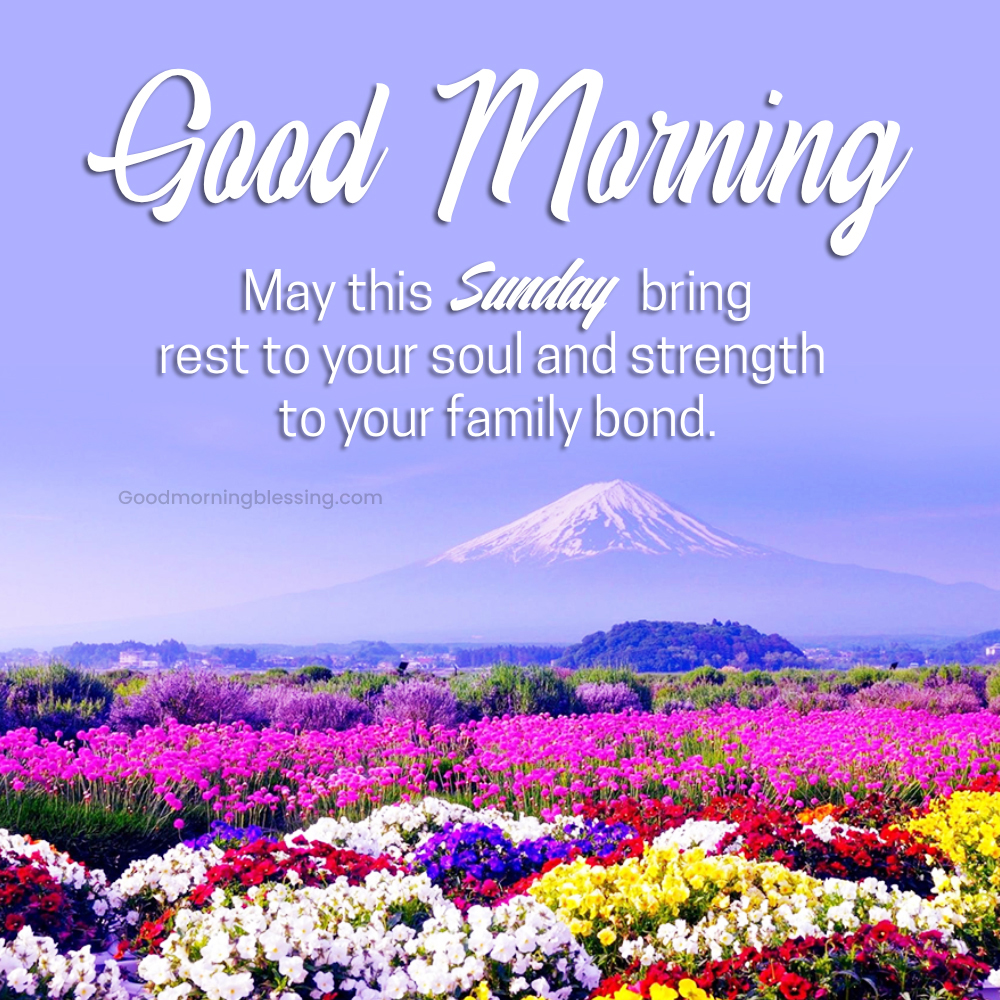 Sunday Morning Greetings