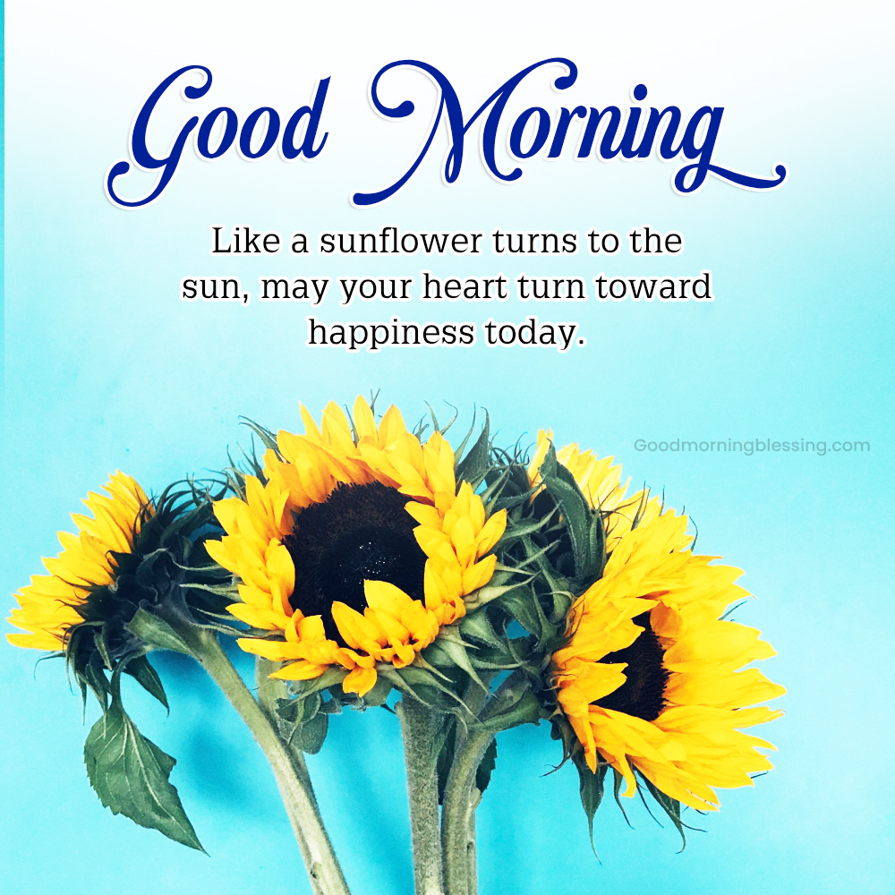 Sunflower Good Morning Quotes