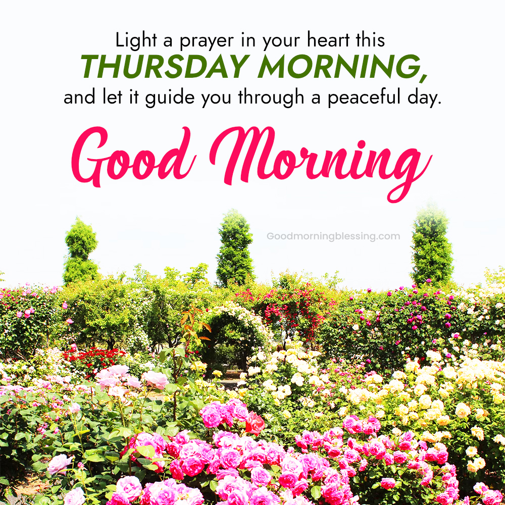 Thankful Thursday Images