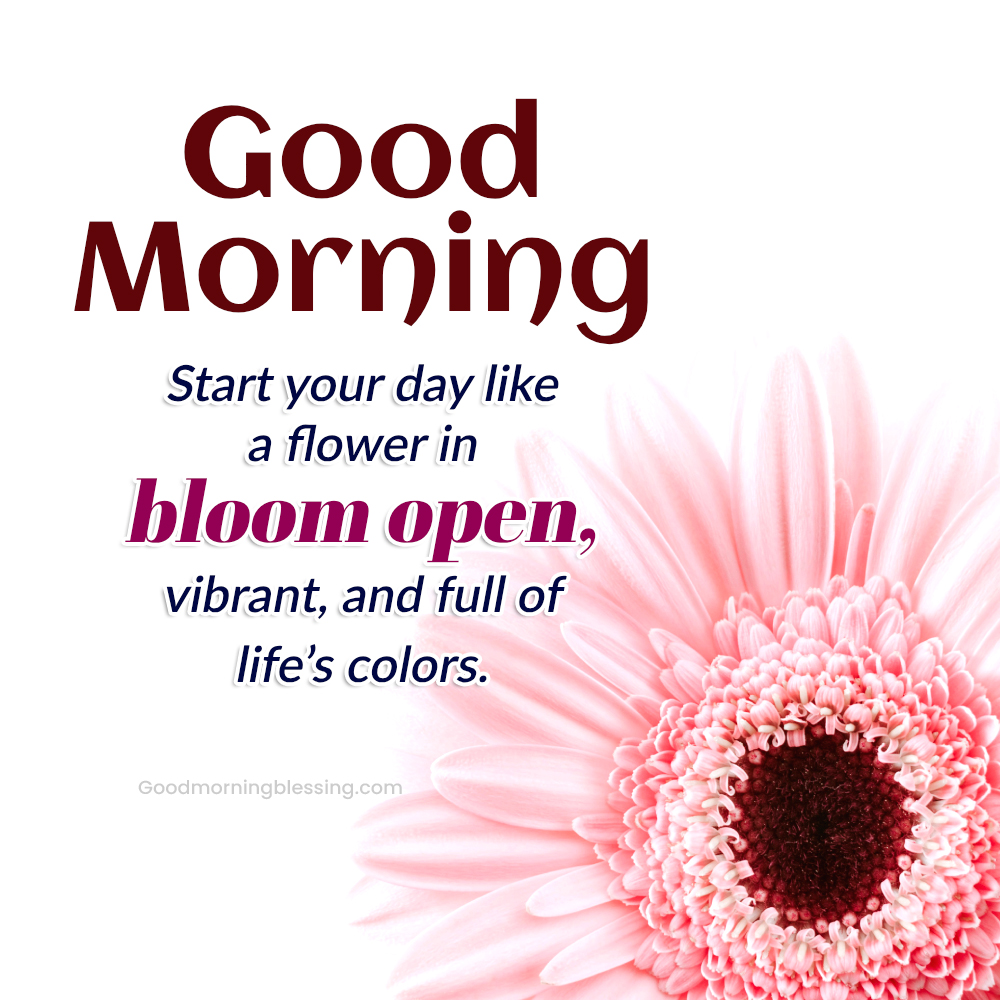 Uplifting Floral Good Morning Messages