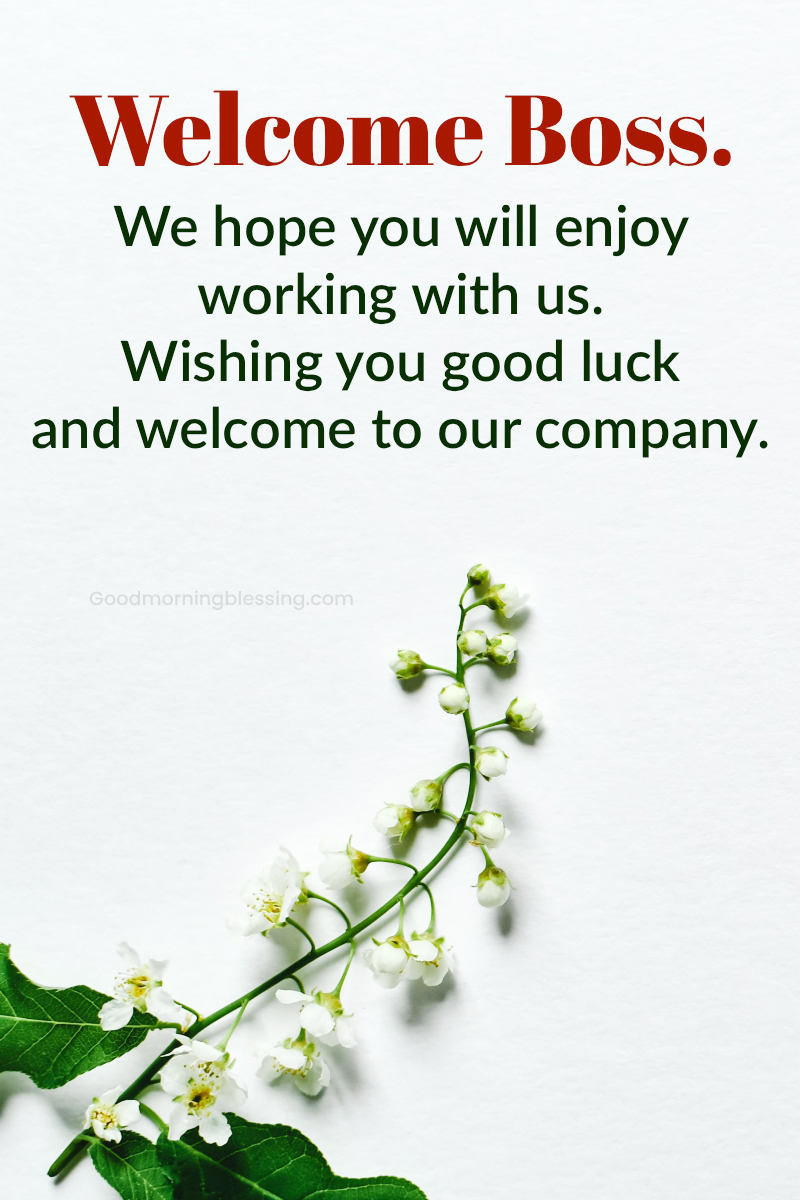 Welcome Message For Boss Image