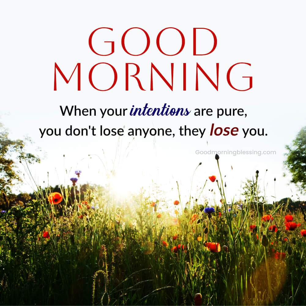Wisdom Good Morning Quotes For Life