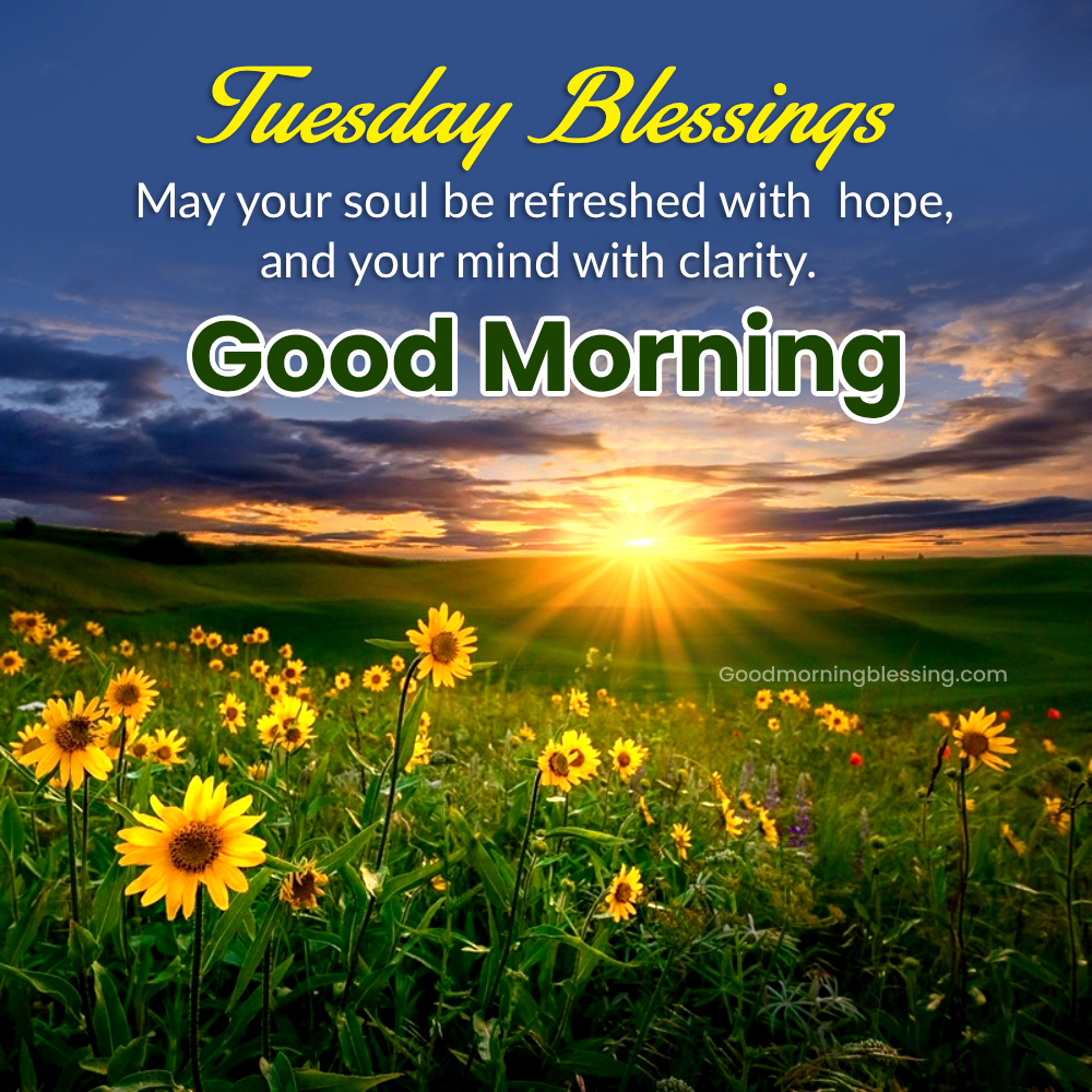 American Happy Tuesday Images