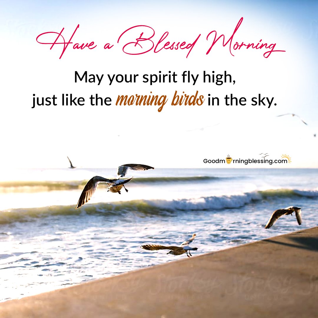 Beautiful Birds Photos