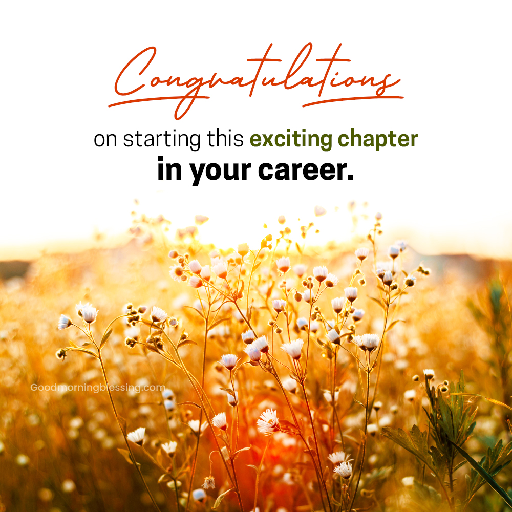 Congratulations For New Job Messages