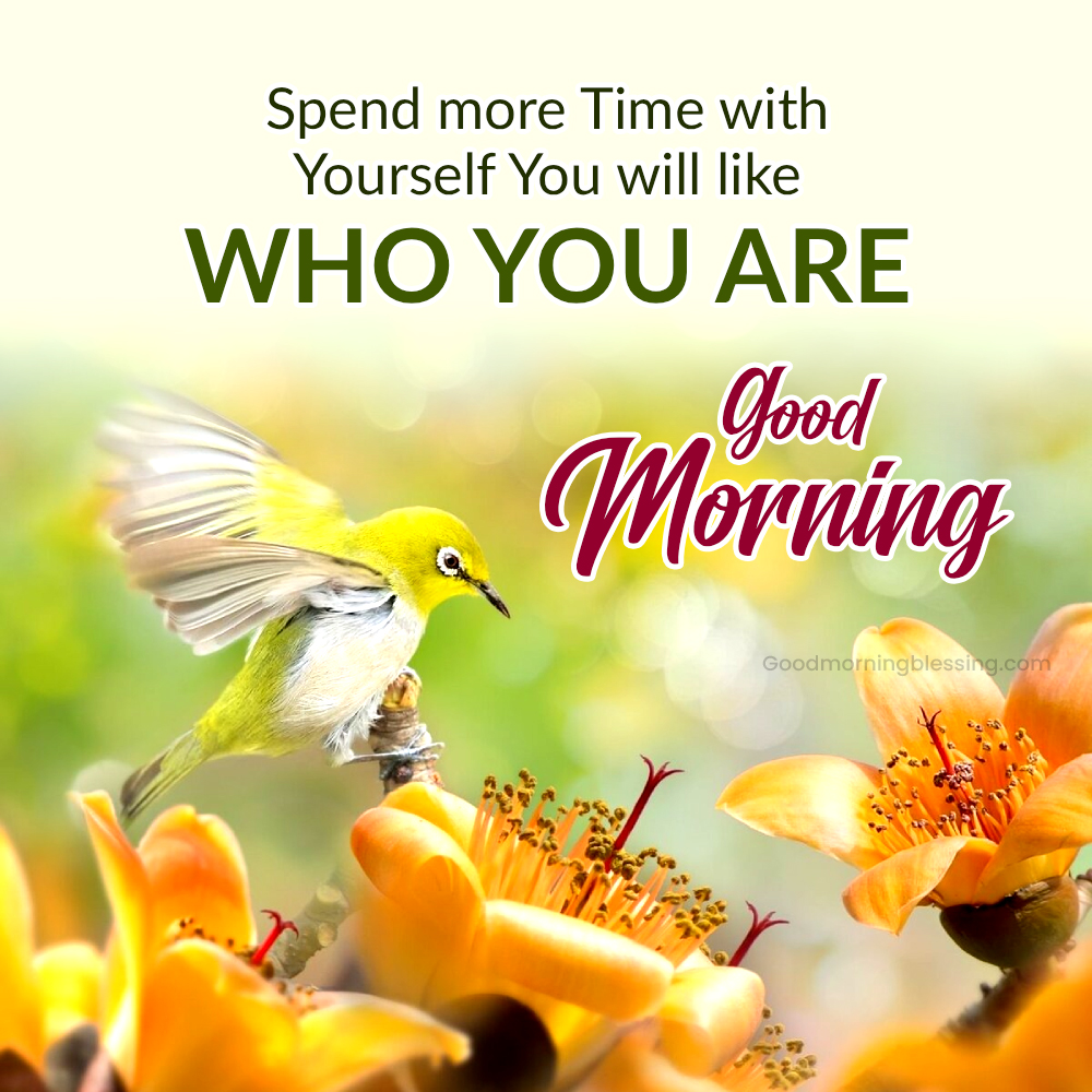 Cute Good Morning Monday