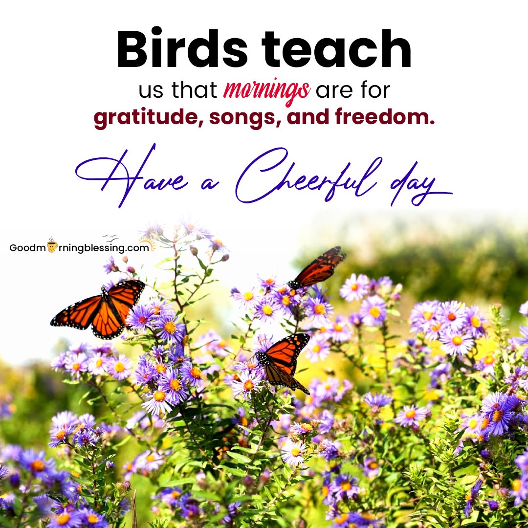 Good Morning Beautiful Bird