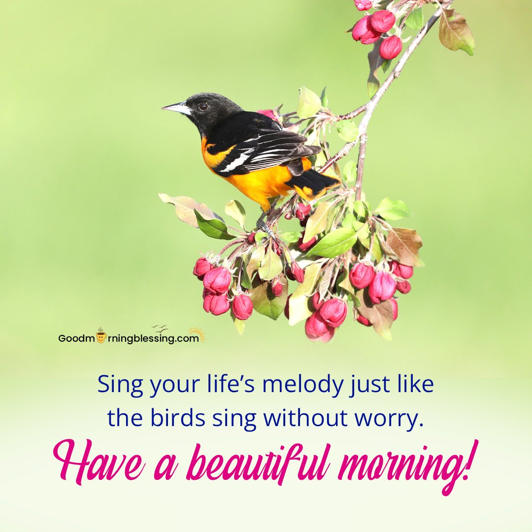 Good Morning Birds Blessing Images