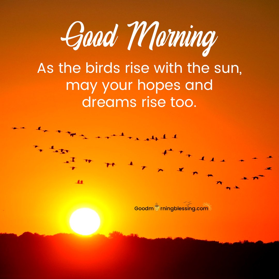 Good Morning Brids Flying Quotes