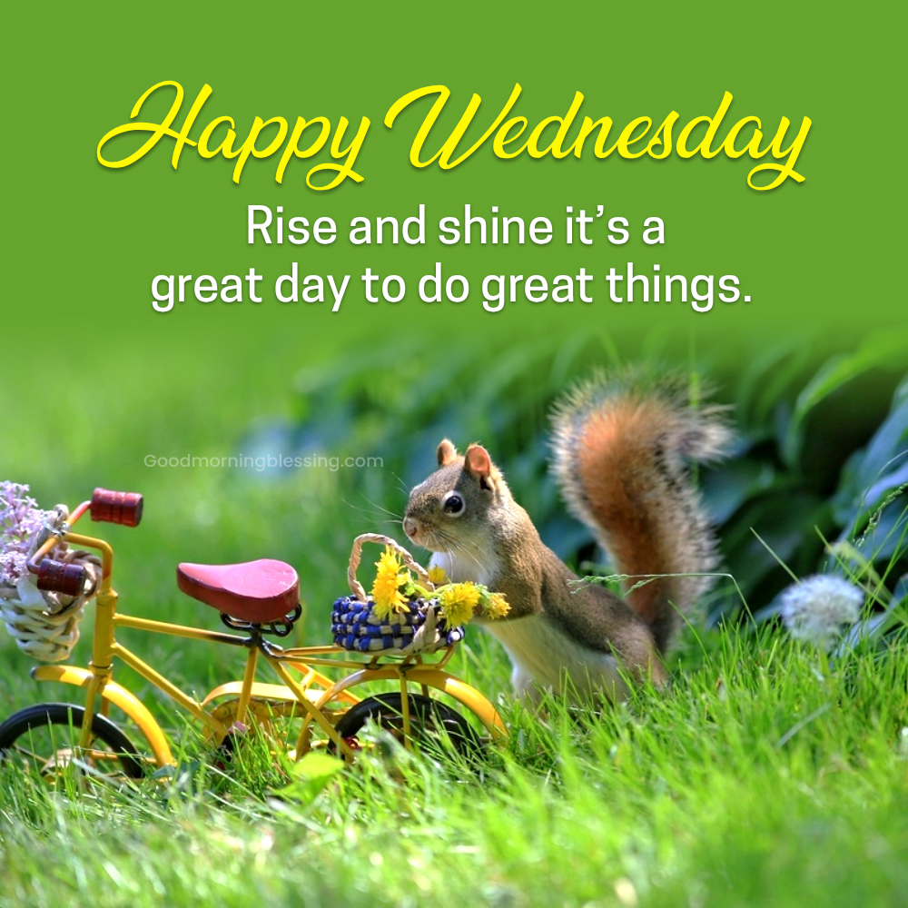 Good Morning Friends Wednesday