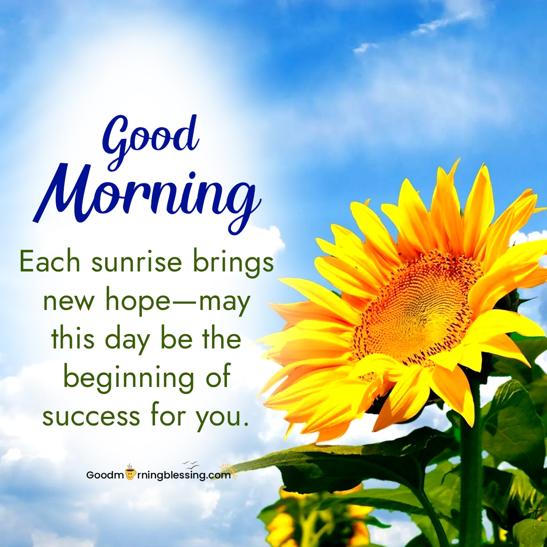 Good Morning Hd Images With Flowers