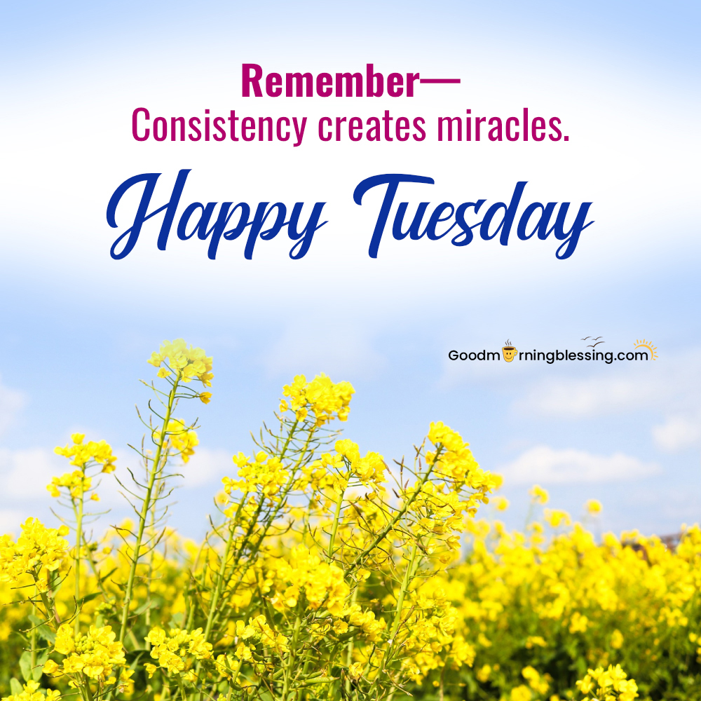 Good Morning Happy Tuesday Flowers