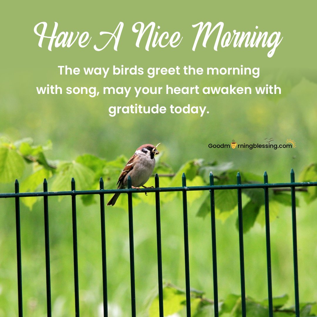 Good Morning Inspirational Quotes About Life And Struggles