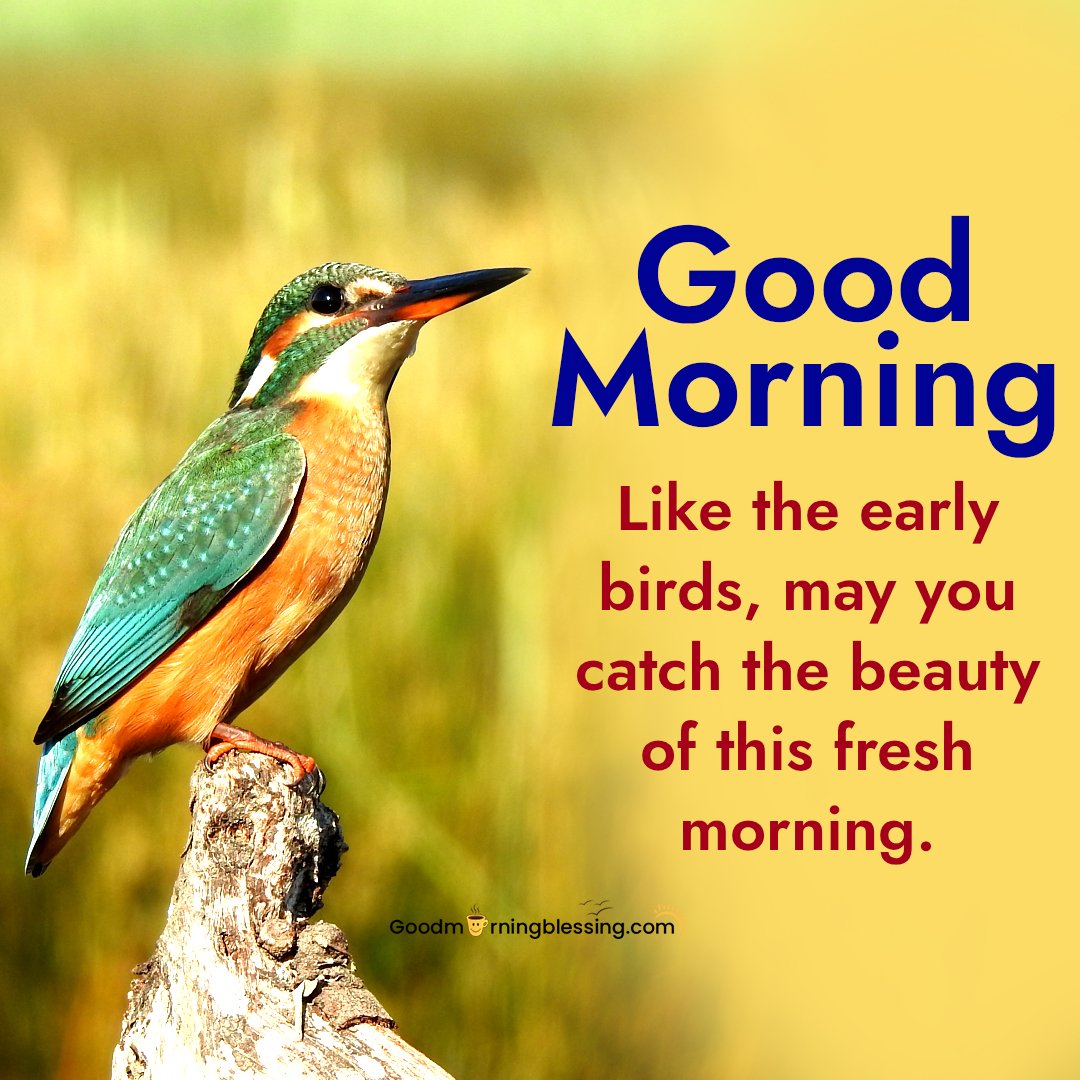 Good Morning Motivational Success Quotes