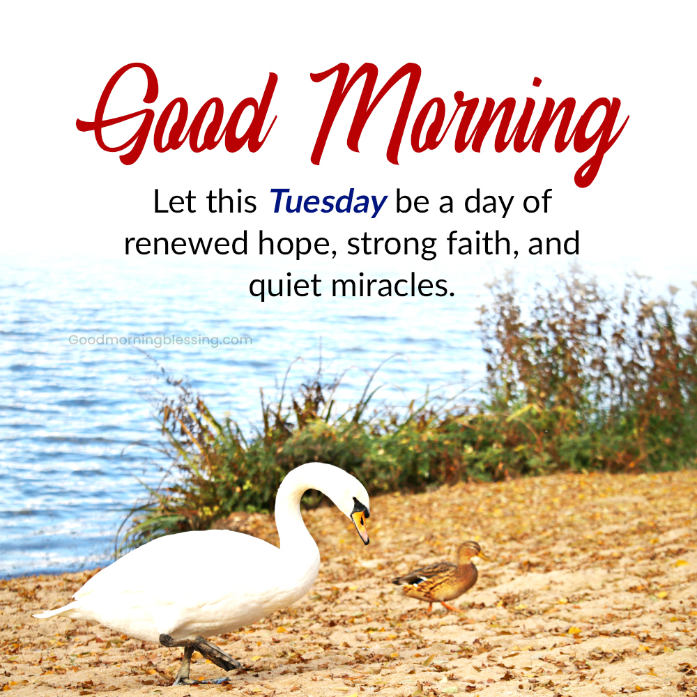 Good Morning Tuesday Inspirational Blessings Quotes For Friends