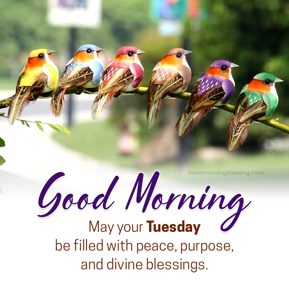 Good Morning Tuesday Motivational Blessings Quotes And Images