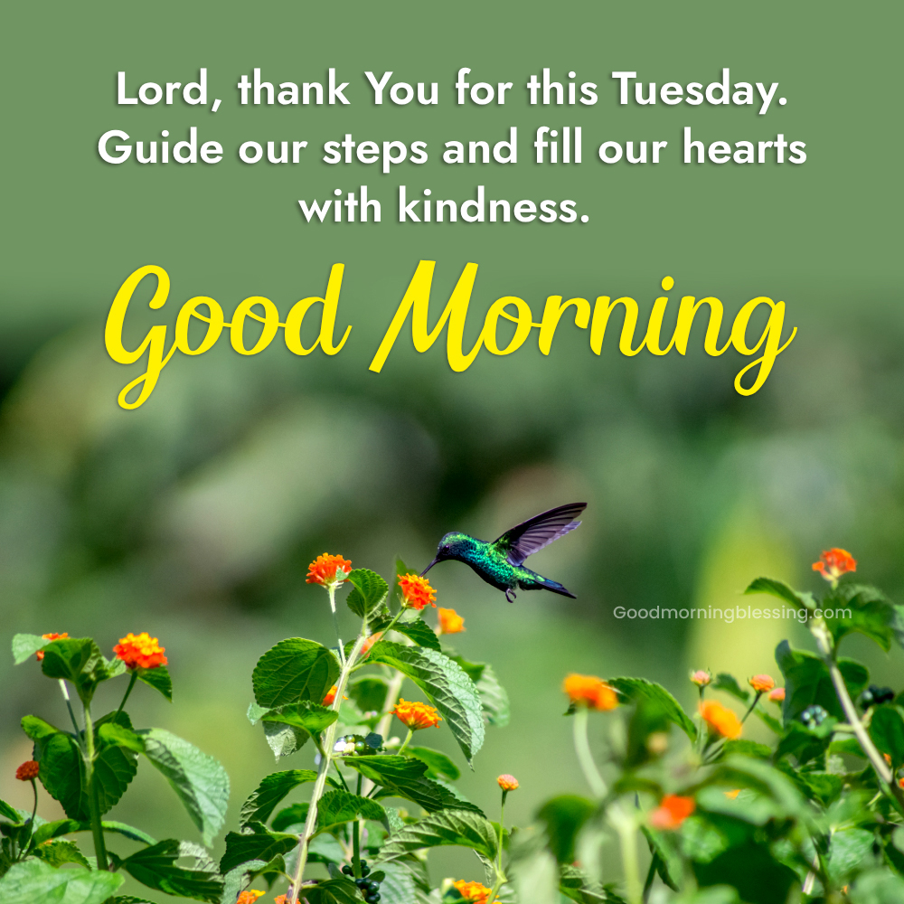 Good Morning Tuesday Motivational Blessings Quotes