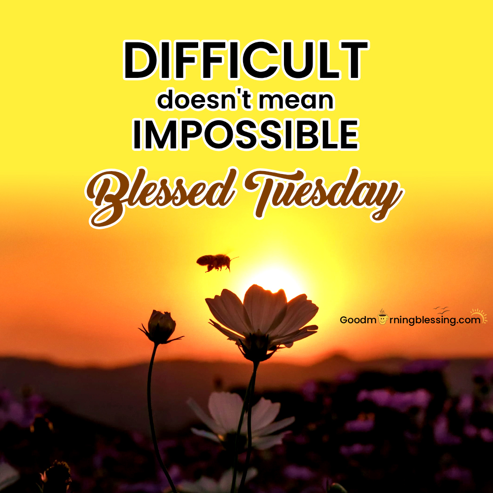 Good Morning Tuesday Motivational Quotes