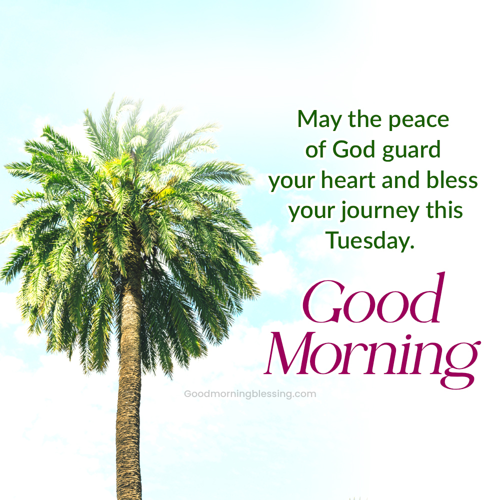 Good Morning Tuesday Positive Thoughts And Prayers