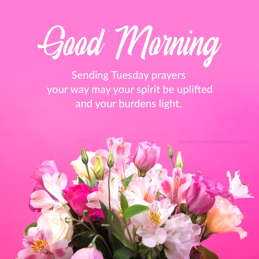Good Morning Tuesday Positive Thoughts Images