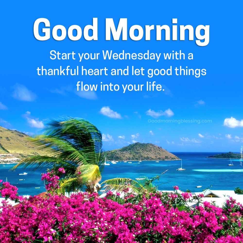 Good Morning Wednesday Positive Quotes For Life Images