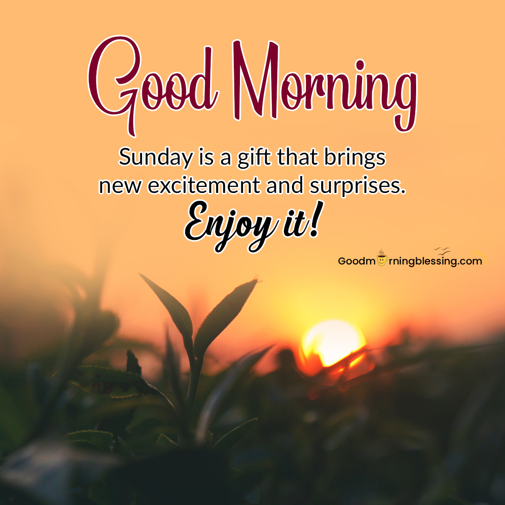 Great Good Morning Quotes