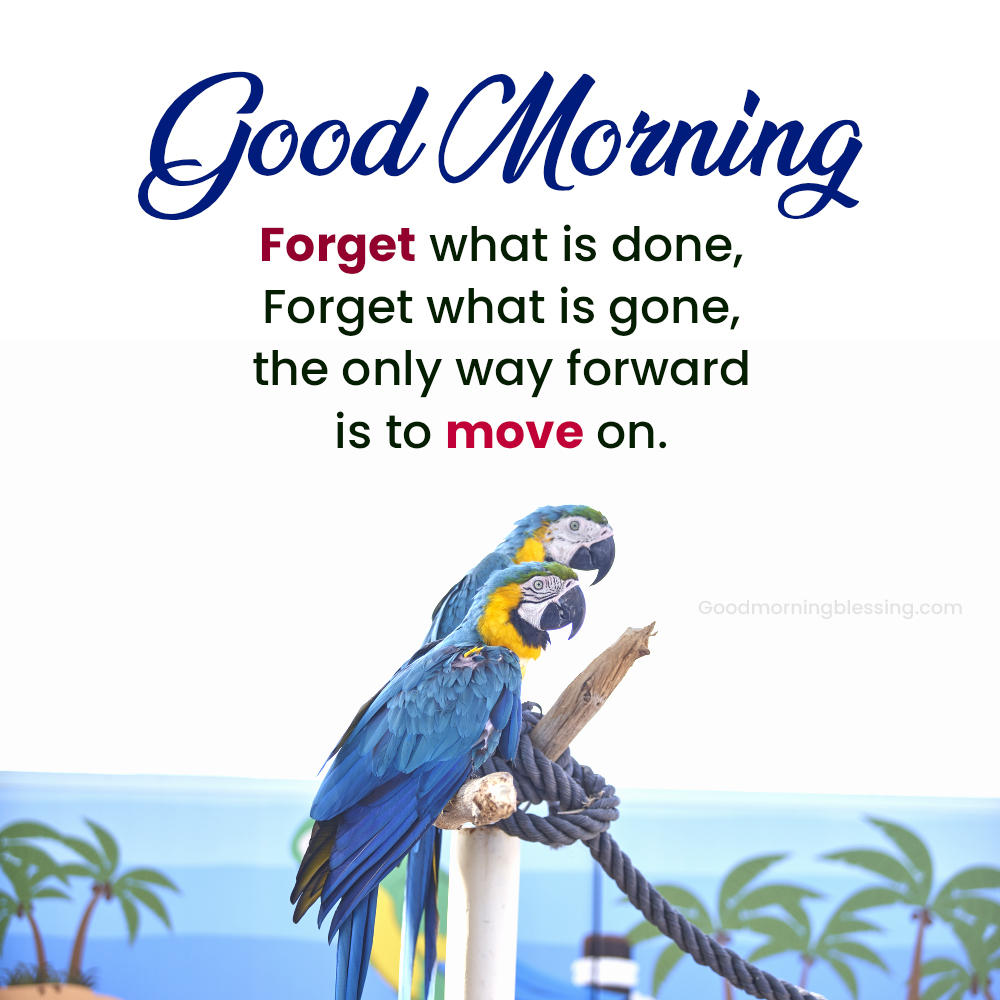 Happy Monday Good Morning