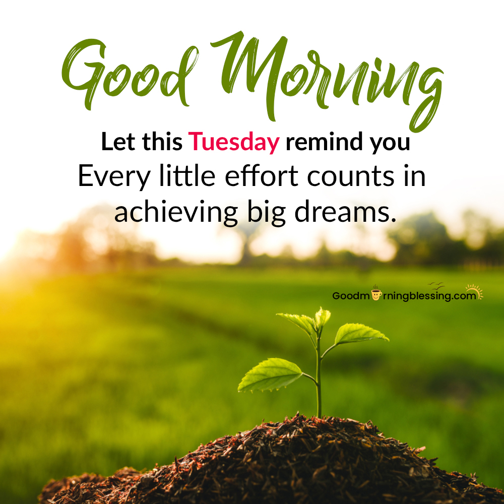 Happy Tuesday Images And Quotes