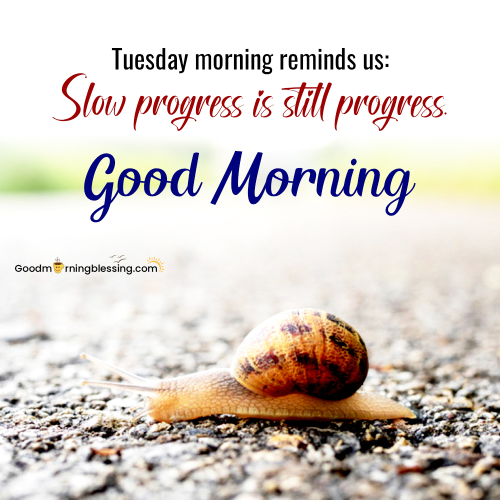 Happy Tuesday Morning Wishes