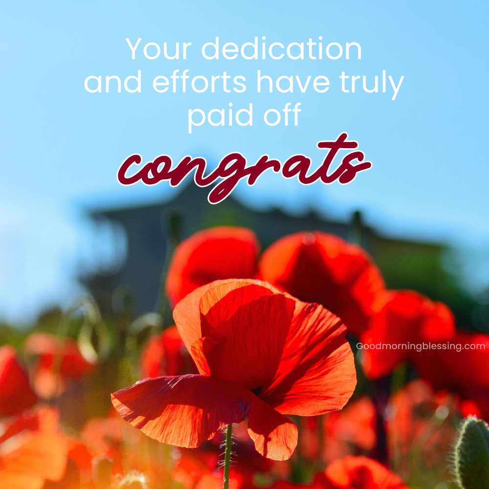 Message Of Congratulations For Achievement