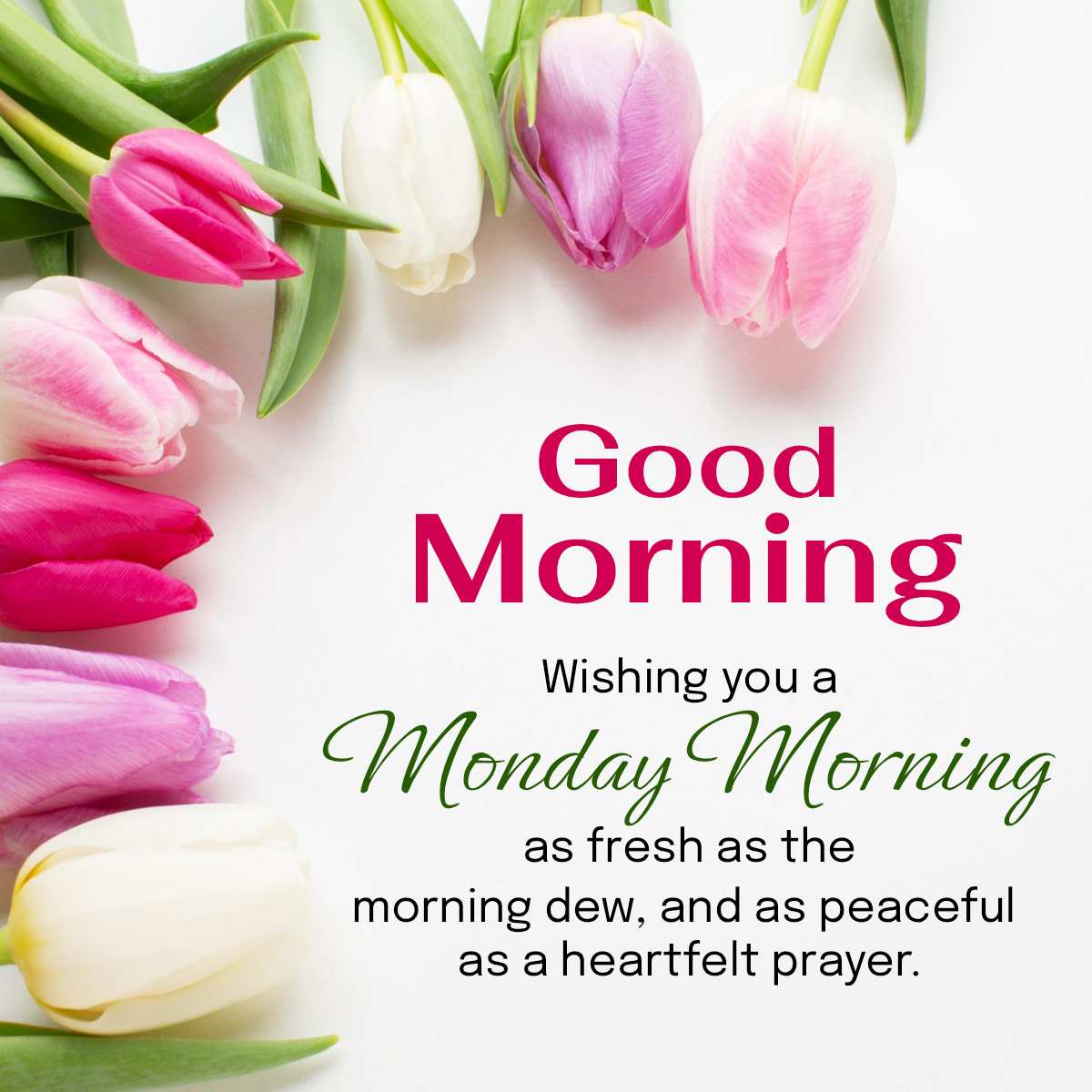 Monday Blessings With Bible Verse Images