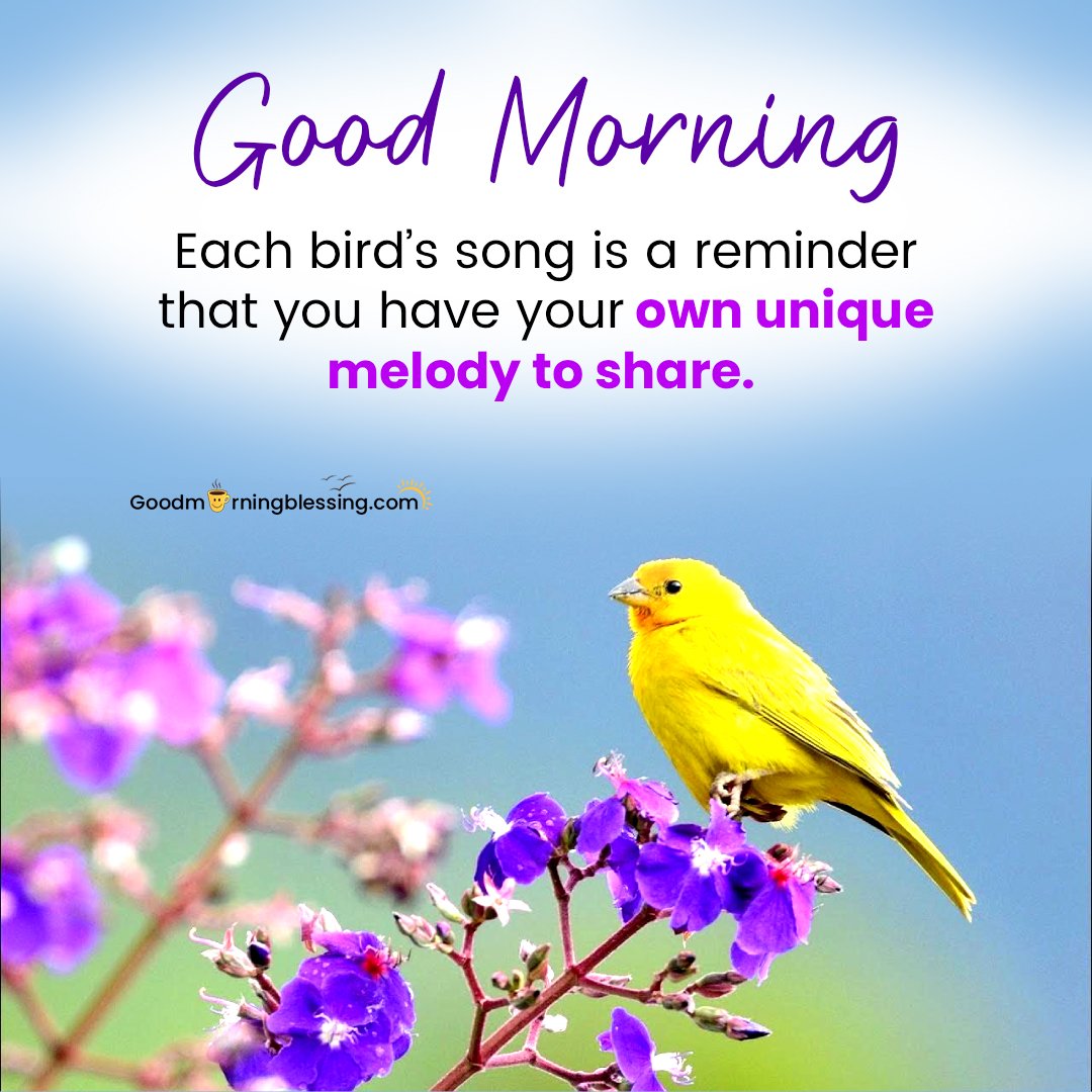 Most Beautiful Birds Wallpape