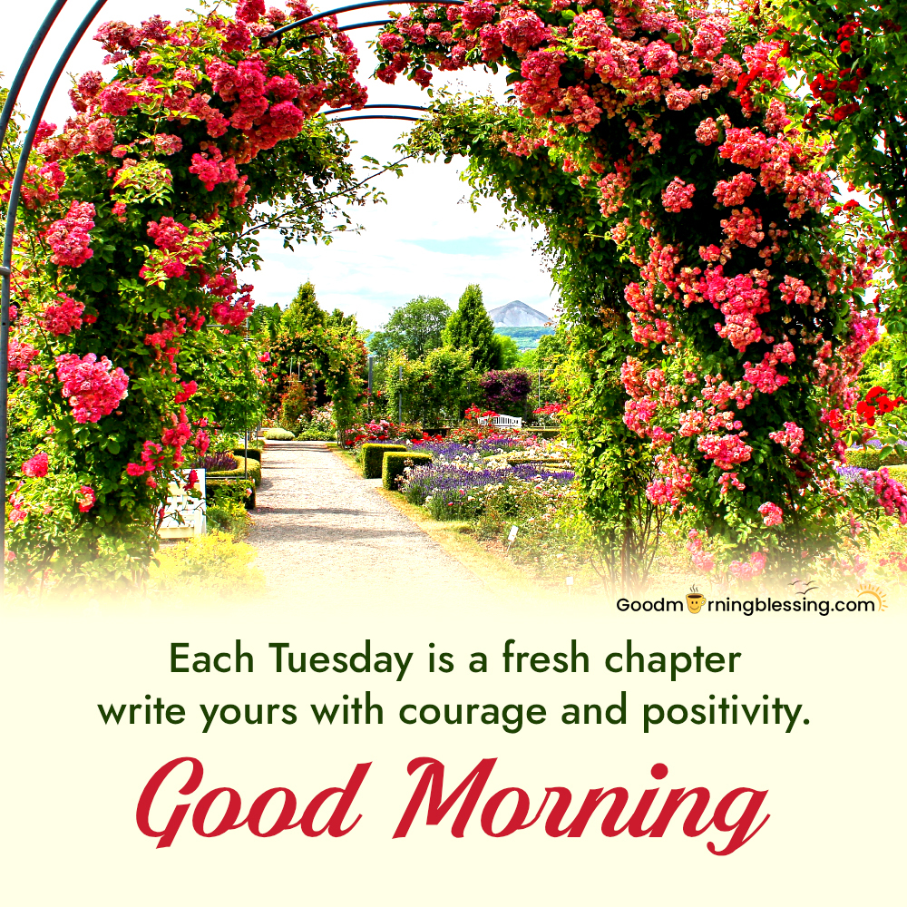 Rainy Tuesday Quotes