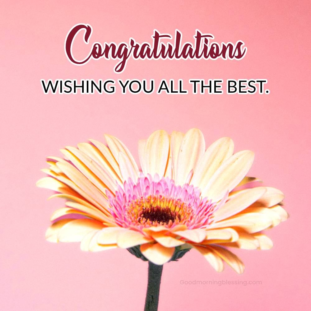 Success Achievement Congratulations Images
